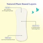 Bliss Panty Liner Box - Image 4