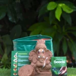 Seed Vinayagar