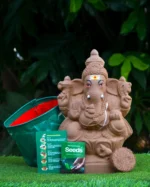 Seed Vinayagar - Image 3