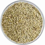 Kambu Hybrid/Peral Millet