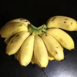 Banana Rasthali
