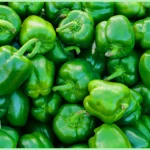 Capsicum Green