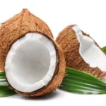 Coconut