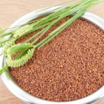 Ragi
