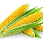 Sweet Corn