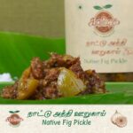 Native Fig Pickle