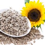 Sunflower Seed