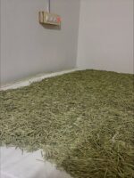 Nandhavan Dried Lemongrass Leaves - Image 4
